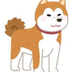 フレンチブルドック